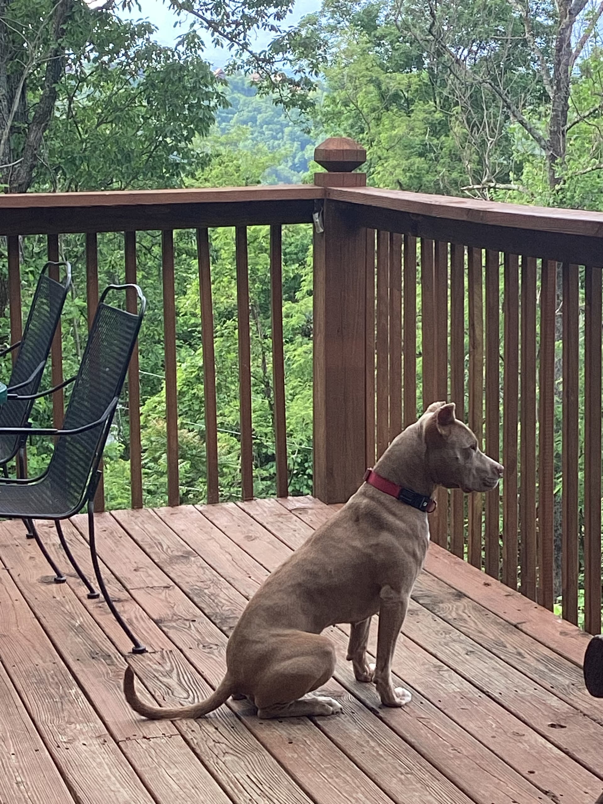 Dolly Pawton on the deck