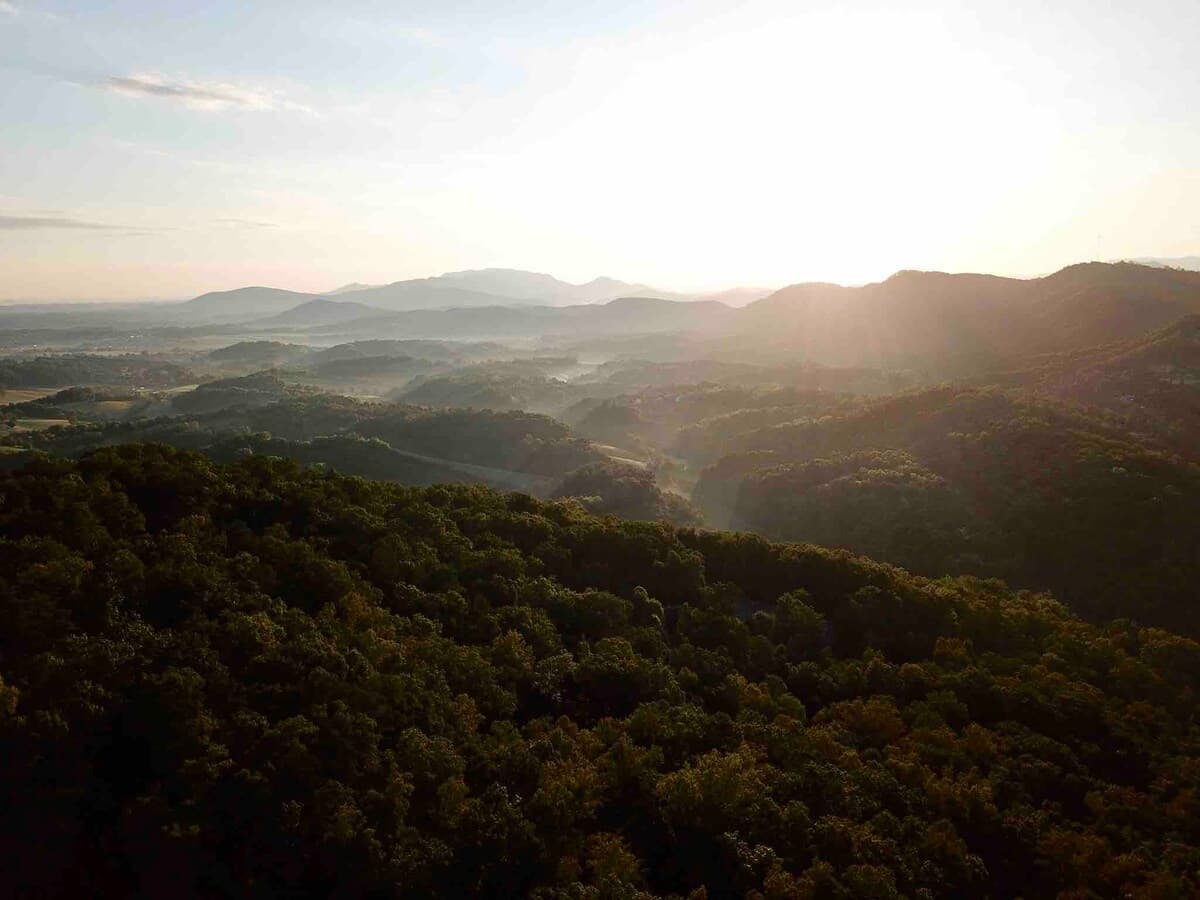 Cabin interior detail with warm wood tones