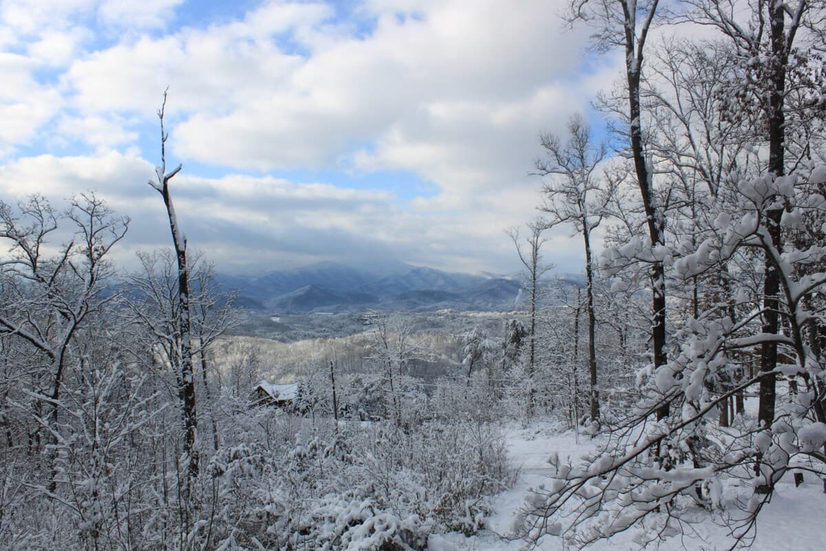 Snow-covered trees and Smoky Mountain valley views after a winter storm from the cabin property